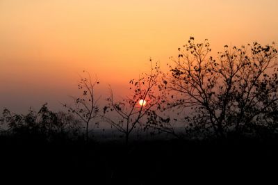 Tra il verde ed i rossi