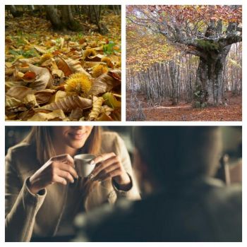 D�Autunno (Angolature)