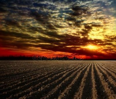 Talvolta la mia mente m�appare tabula rasa