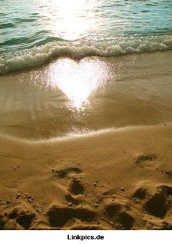 L�ardua impresa fu tenersi nel mezzo