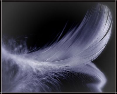 Sono forse un poeta?