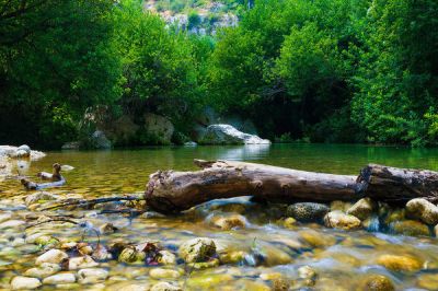 L� dove l�Anapo scorre