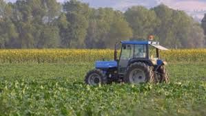 Un primo maggio inconsueto