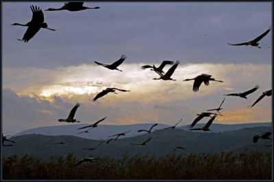 Dell�infanzia (i ricordi)