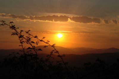 Vivo dove i tramonti spengono i colori