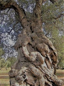 Nel flusso della vita