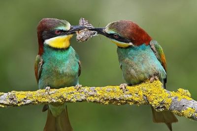 Il senso vero del dono