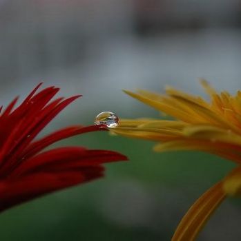 Talvolta ci pare di vivere meno