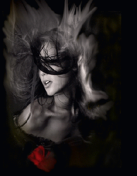 I silenzi dell�amore