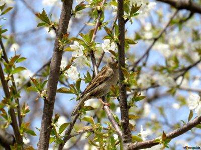 Poi � l�addio alle cose