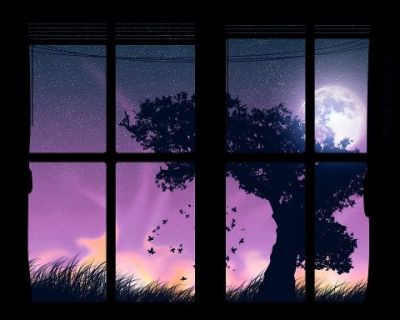 Fuori c�era la notte