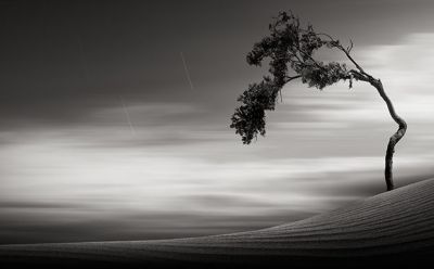 L�eco delle cose perdute