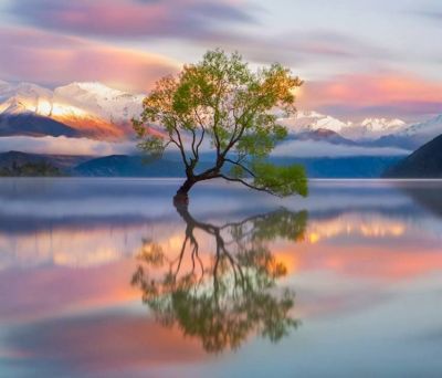 Se Tu all�improvviso smettessi di amarmi