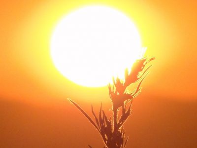 E se ti illumini in viso