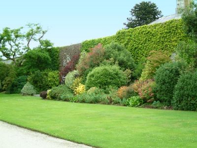 L�odore dell�erba tagliata