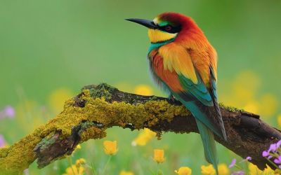 Aprile � trascorso cos�