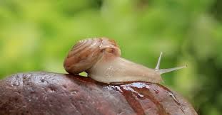 Non pi� prigioniera del passato