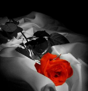 Un attimo d�eterno