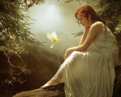 Raggiunta la meta ambita