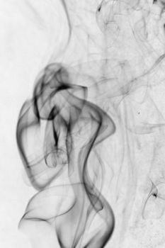 Il Pensiero � una colomba nel buio di ogni notte