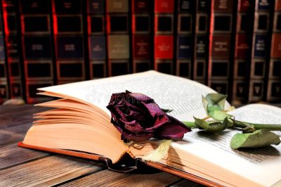 Tra fiori secchi e pagine ingiallite