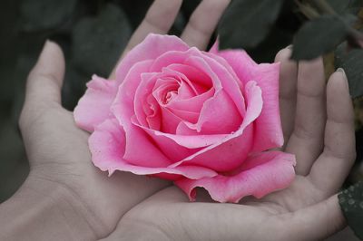 So che di notte vegli