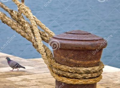 Quel mondo che t�eri figurato