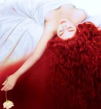 Il destino di una rosa