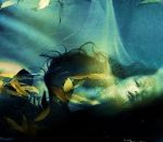 Il tuo autunno sar�