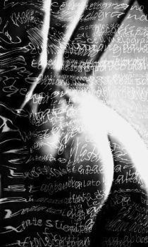 Pagine di un istante