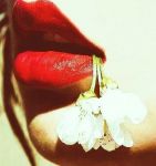 Era il tempo delle ciliegie