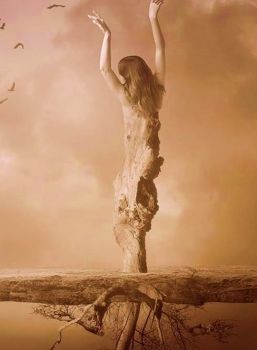 Dove l'anima non incontra la morte