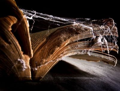 La polvere del mio Tempo