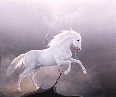 Cavallo bianco