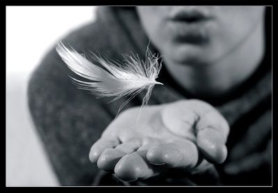 Una poesia... per te!