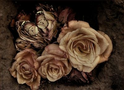 Dicono che mai muore