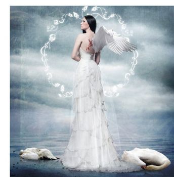 Il sussurro d'un cigno