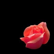 Il volto della mia anima