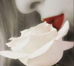 Il vento dei ricordi