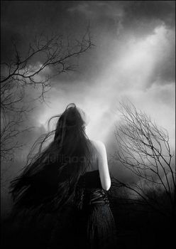 La carezza del vento  