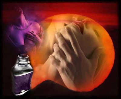 Il profumo dell�Eden