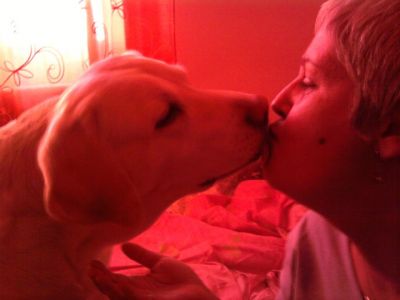 Zara... la mia amica a quattro zampe