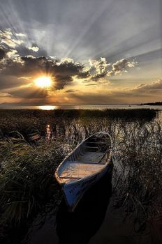 Gli ultimi raggi del sole