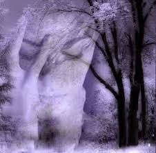 Silente il sole acerbo