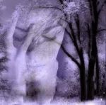 Silente il sole acerbo