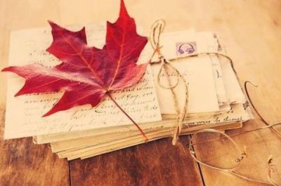 Dietro un velo d'organza