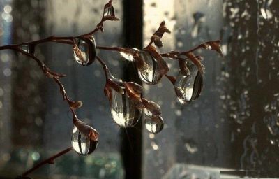 Parlami negli scrosci d'albe