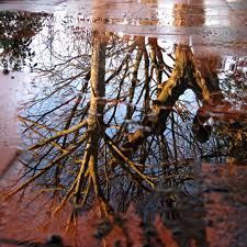 Raccontarlo al cielo