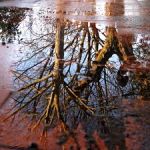 Raccontarlo al cielo