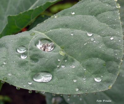 Il silenzio della sera